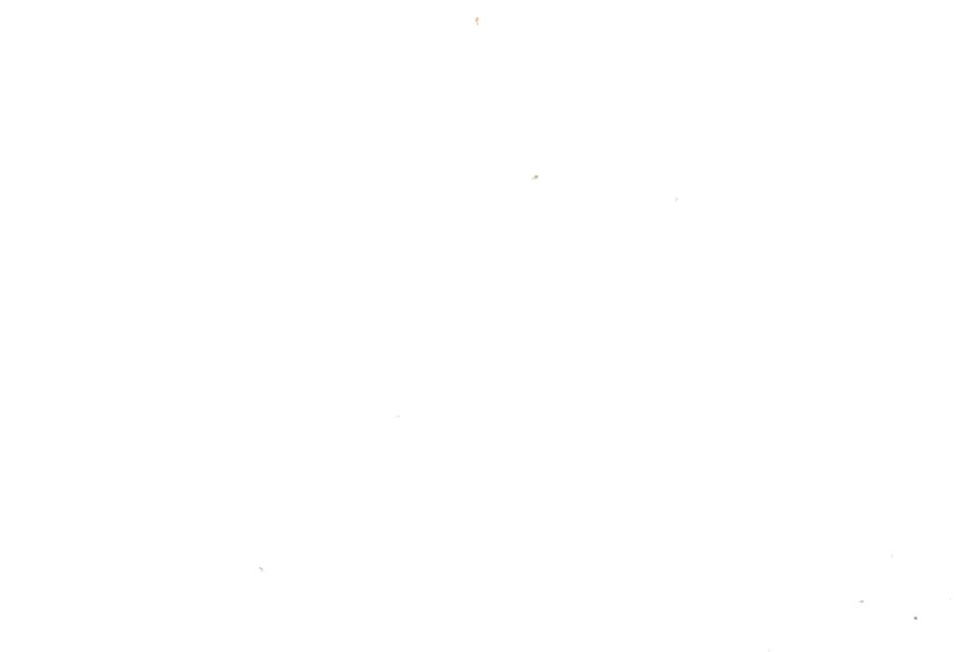 Image 31